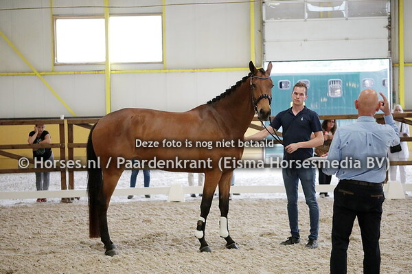 11 Navici (Morricone x Faith v. Westpint)