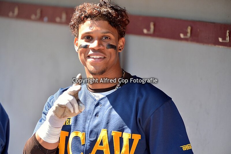 Storks-HCAW 11-5-2019