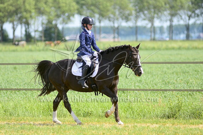 10.00 - 12.00 ring 4