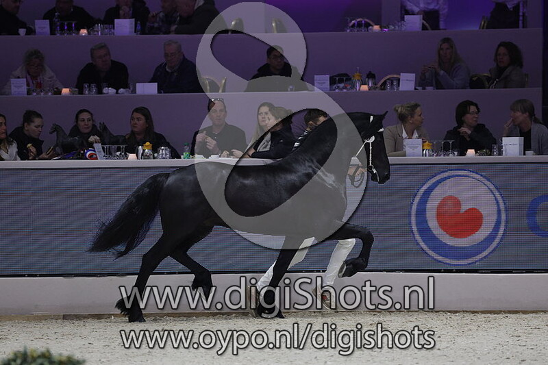 Pelle van Stal de Koggen 059 v. Markus 491