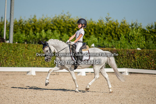 Zundert Hippique 25 juni 2023 Dressuur ring 1