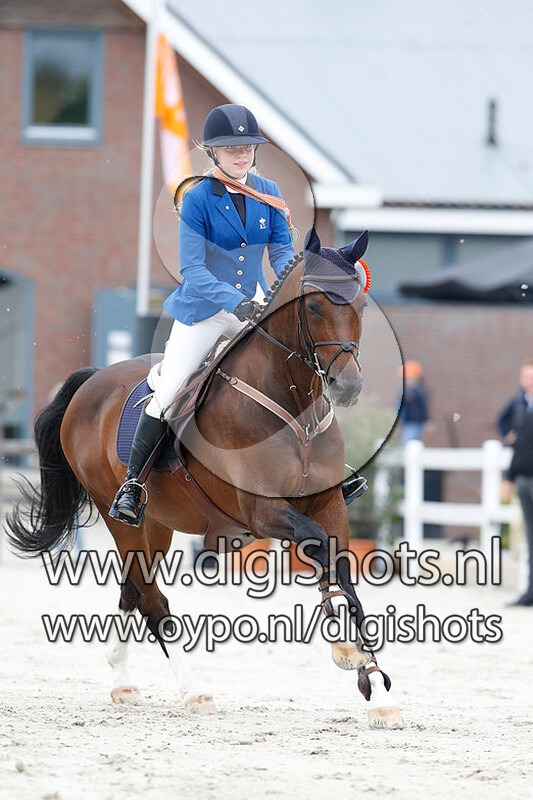 Springen B Paarden