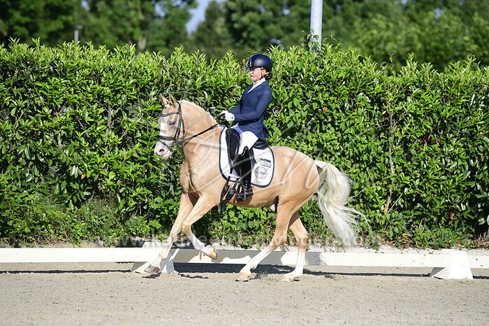 Feline Niessen - Doppio Passo