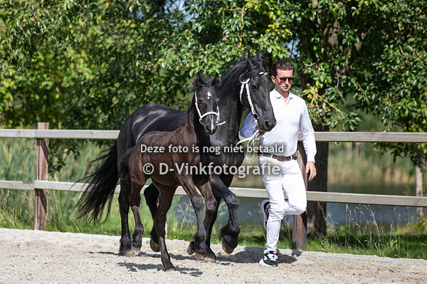 23. Babs fan Oranjebodem