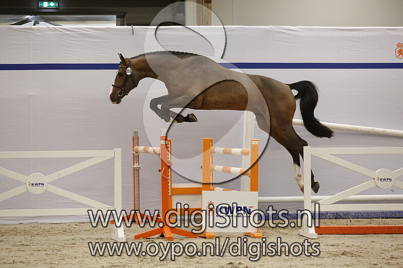 Something Special v. Ermitage Kalone