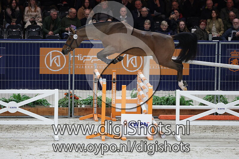 Pleasure van de Moervelden Z