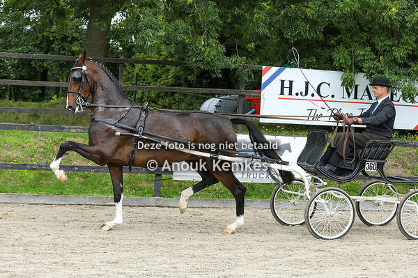 Sendie W ( Lanto HBC x Ulandro ) + Alternatieve Ibop