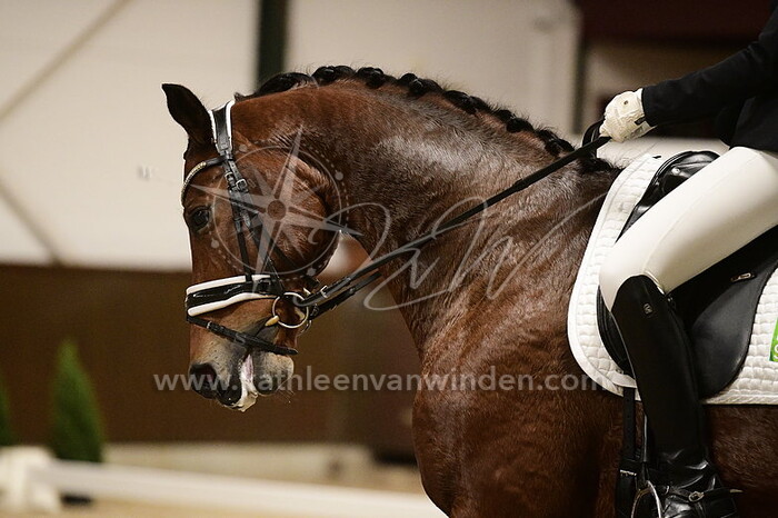 Doortje van Hoof - Hapache Keigroen