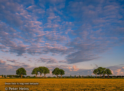 ZONSOPKOMST_WOGMEER_29JUL2025