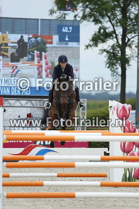 nathalie van der mei