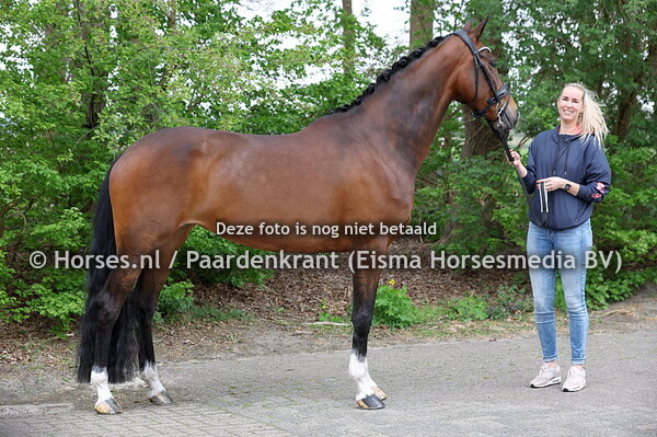 20 Noa-Jette  MS (Geroge Clooney x Jette v. Bordeaux)