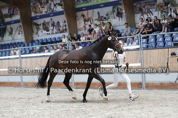 14 Likarla (Ferguson x Lakarla v. Zeoliet)