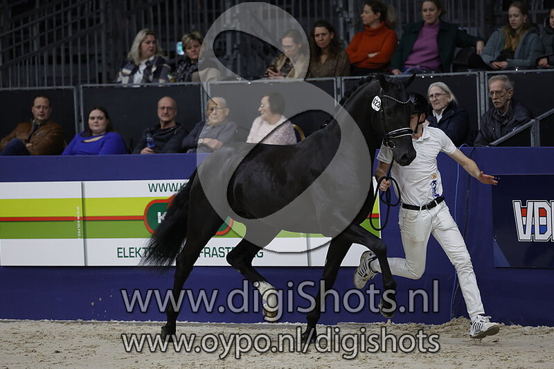 Rocky H v. Just Wimphof - 423