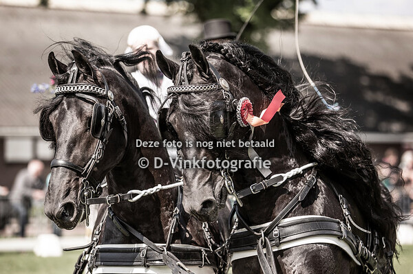 CH Lunteren 11-05-2019