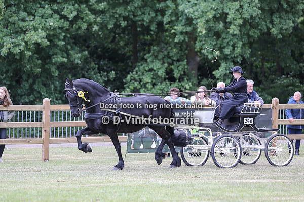16. Rad Gala kampioenschap Tuigpaarden Fries ras Open klasse