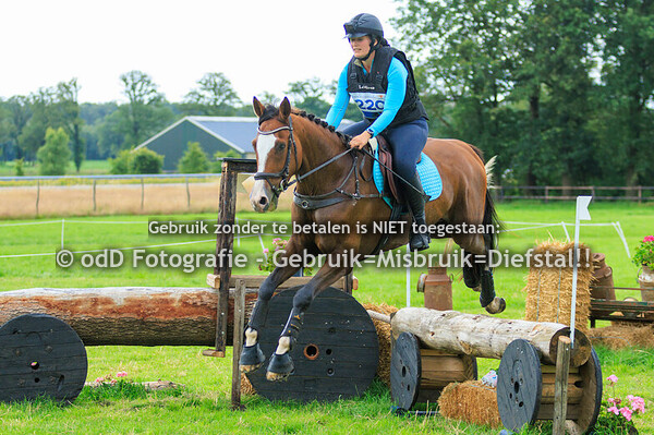 SGW Markelo Snorrewind Paard L Pony M 30-06-24