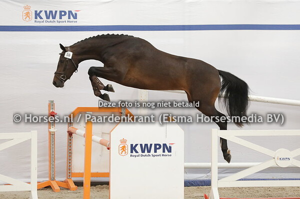 58 Paulien (Grand Slam x Ixia v. Corland (1)