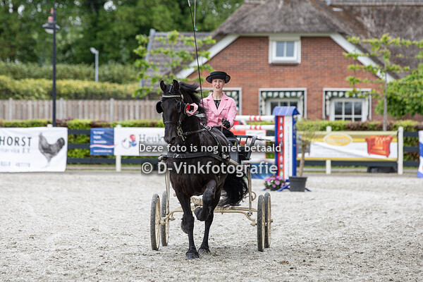Rubriek 16. Damesklasse regionaal gr 2