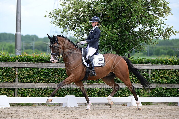 Ingrid Gerritsen - Neverwinter G