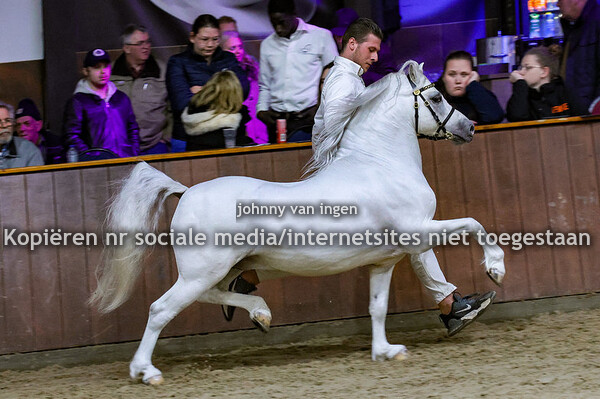 hengstenshow Exloo 2024