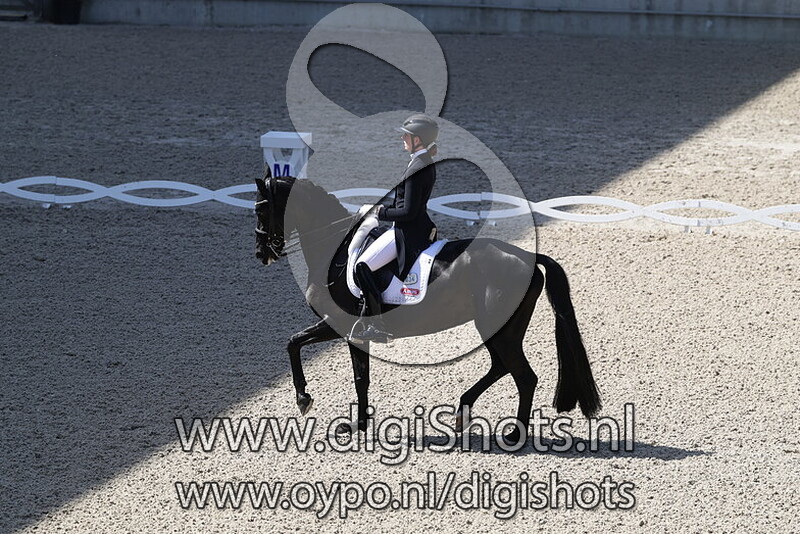 Forsazza de Malleret