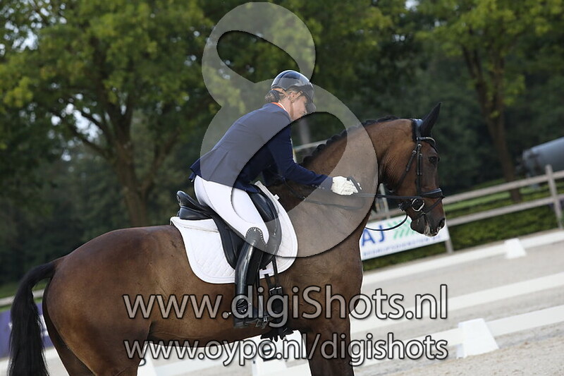 Ring 4 Klasse Z1 paarden 2e proef
