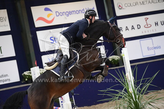 Tom Schellekens - Chella II de Laubry Z