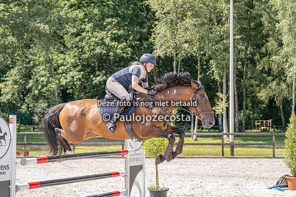 Galoppade 2024 120cm Paarden