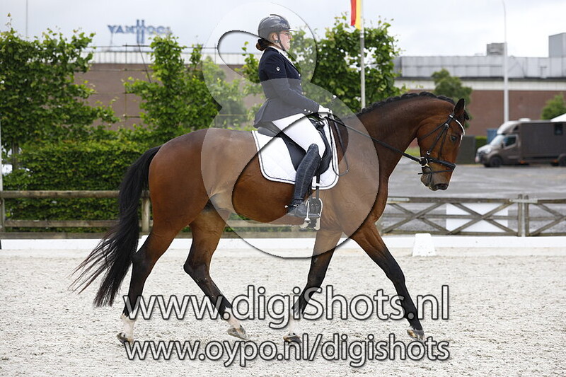 Sollythunder van de Ultrahoeve