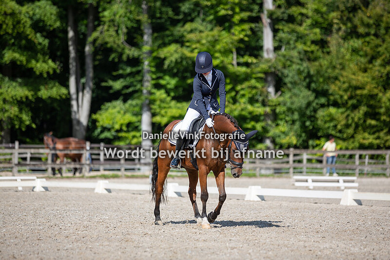 Arwen Schaaf - Orchid's Niels