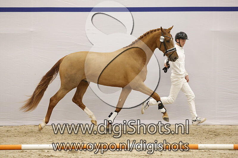 Superiority v. Las Vegas