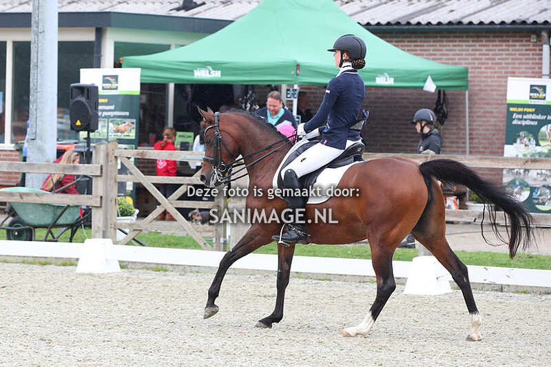 Nationale Welsh Sportdag 23-09-2023 Dressuur Ring 1 (9.00-11.30 uur)