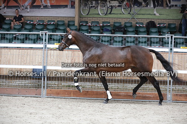 307 Majresia (Governor x Faresia v. Rousseau)