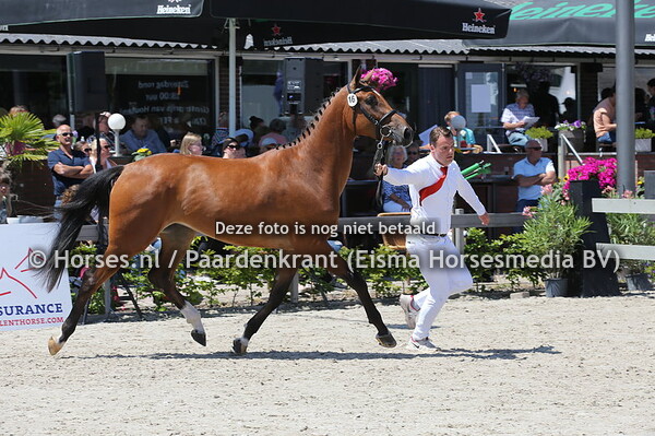 16 Laguna ES v Mosito vh Hellehof