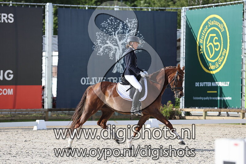 Silent Amalia's Roos