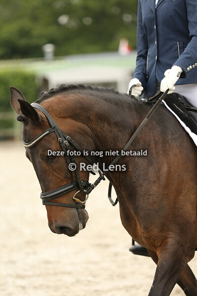 Nina van der Bruggen