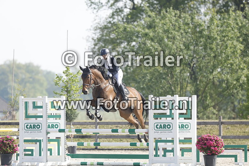 fabienne lichtenvoort cats