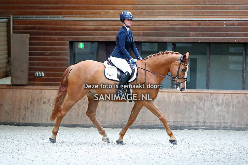 Midland Clubkampioenschappen 01-04-2023 Dressuur Paarden