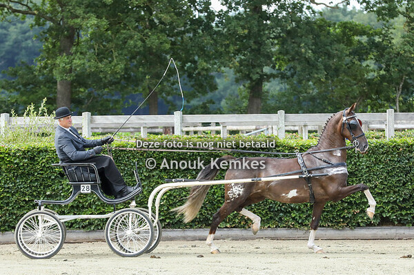 Alternatieve Ibop - Kiana ( Fantijn x Uromast )