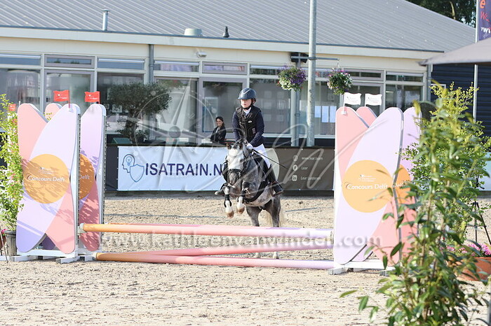 Dyane van Heel - schimmel