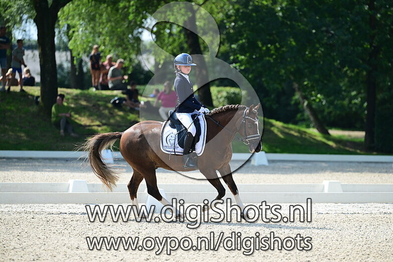 Ring 6 Klasse B cat C