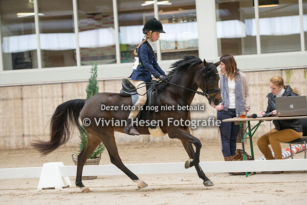 Youngstockshow Utrecht