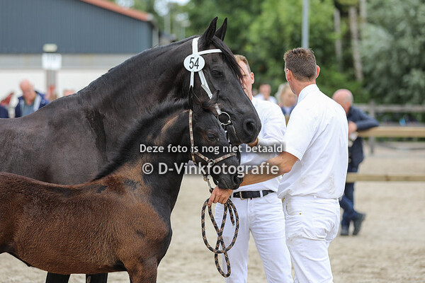 54. Wienke van de Terp