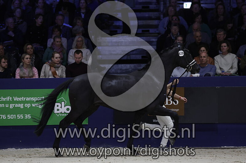 Reijrinkâ€™s Revolution v. Kjento - 429