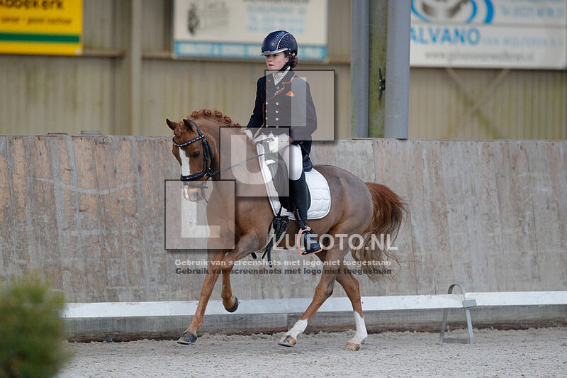 Regiokampioenschappen pony's dressuur