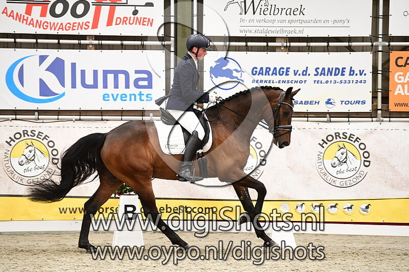 Lars op 't Hoog - Oasis