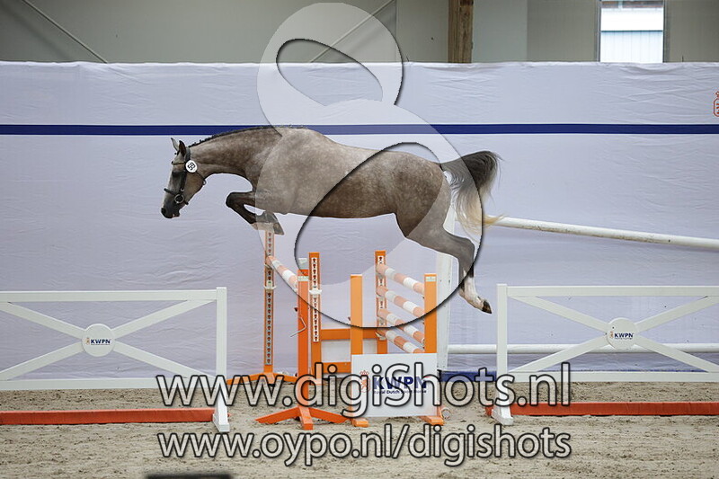 Sedoselli vd Watermolen v. Carambole