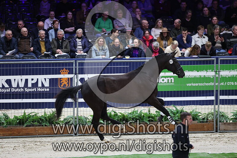 Simon NA v. Lantanas