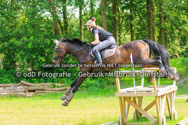 Trainingen Margo Millstream Groep 4 15.00  29-06-24