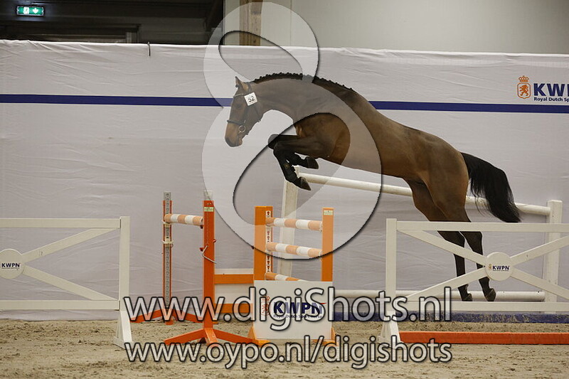 Sir Peppie T v. Conthargos